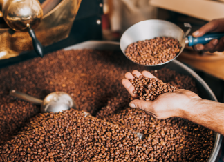 Berufe im Kaffeesektor: die Kunst der Kaffeeröster Beruf Kaffeeröster bei der Röstung von Kaffee