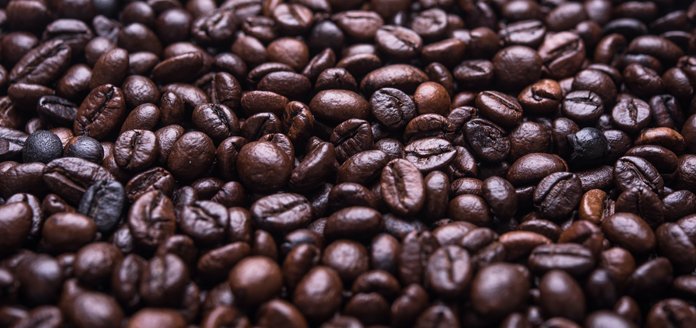 der anbau von bio-kaffee in mischkulturen