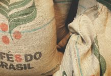 Kaffee wird teurer – das sind die Gründe Robusta-Kaffee aus Brasilien