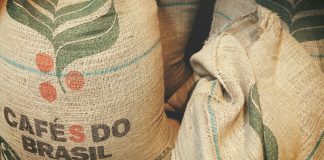 Robusta-Kaffee aus Brasilien