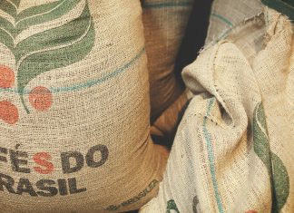 Kaffee wird teurer – das sind die Gründe Robusta-Kaffee aus Brasilien