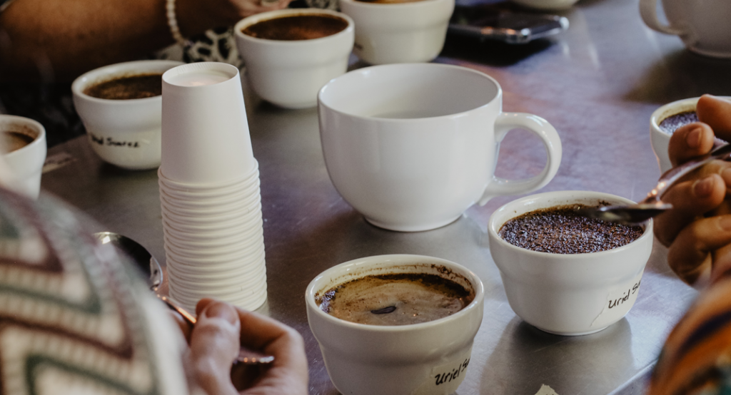 kaffee verkostung für kaffeeröster