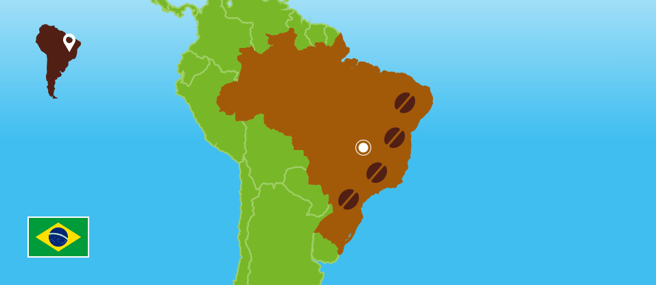 Kaffeezentrale_Kaffeeanbau_Brasilien_RZ