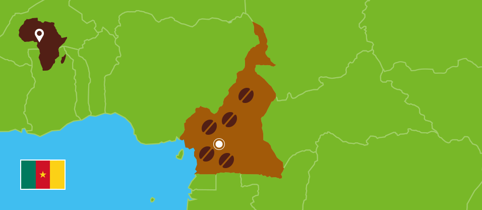 Kaffeezentrale_Kaffeeanbau_Kamerun_RZ
